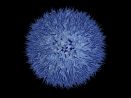 3D visualization of a Virus / Bacterium.